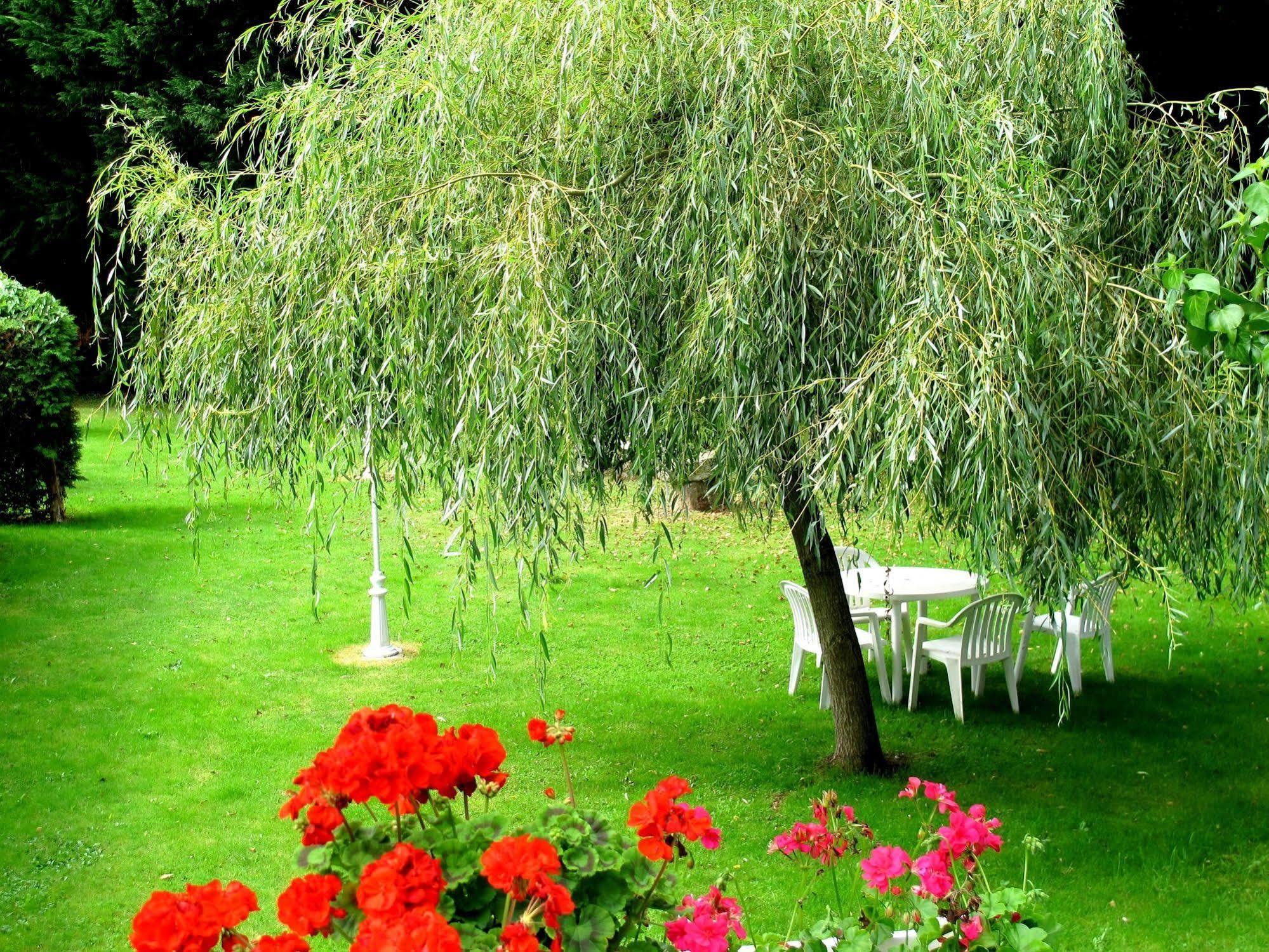 Logis Deshors-Foujanet Hotel Chamboulive Luaran gambar